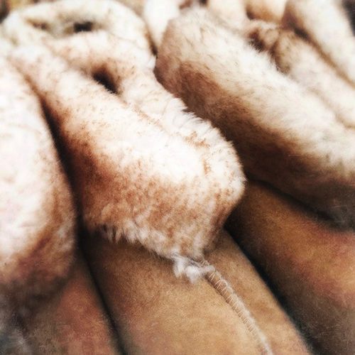 O'Sullivan's Fur Shed